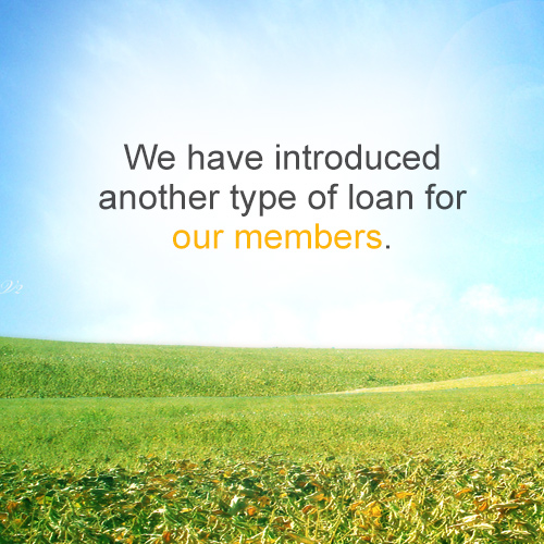 We have introduced another type of loan for our members. 